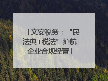 文安税务：“民法典+税法”护航企业合规经营