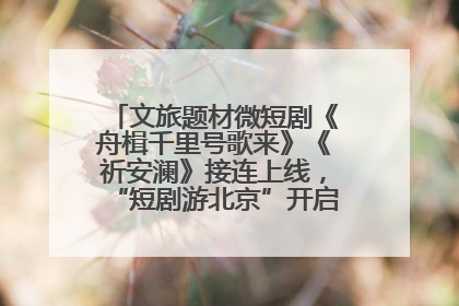 文旅题材微短剧《舟楫千里号歌来》《祈安澜》接连上线，“短剧游北京”开启大运河文化之旅