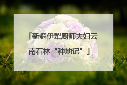 新疆伊犁厨师夫妇云南石林“种地记”