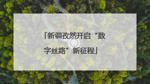 新疆孜然开启“数字丝路”新征程