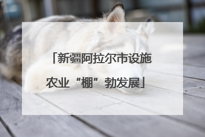 新疆阿拉尔市设施农业“棚”勃发展