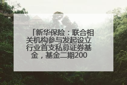 新华保险：联合相关机构参与发起设立行业首支私募证券基金，基金二期200亿元已募集完毕
