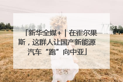 新华全媒+｜在霍尔果斯，这群人让国产新能源汽车“跑”向中亚