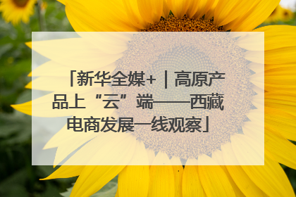 新华全媒+｜高原产品上“云”端——西藏电商发展一线观察