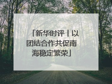新华时评丨以团结合作共促南海稳定繁荣