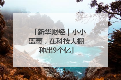 新华财经｜小小蓝莓，在科技大棚种出9个亿