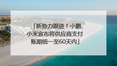 新势力跟进！小鹏、小米宣布将供应商支付账期统一至60天内