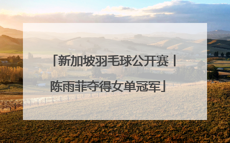 新加坡羽毛球公开赛丨陈雨菲夺得女单冠军