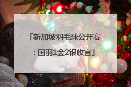 新加坡羽毛球公开赛：国羽1金2银收官