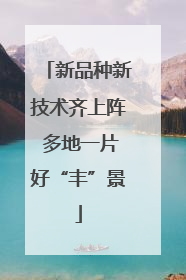 新品种新技术齐上阵 多地一片好“丰”景