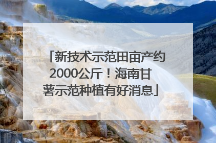 新技术示范田亩产约2000公斤！海南甘薯示范种植有好消息