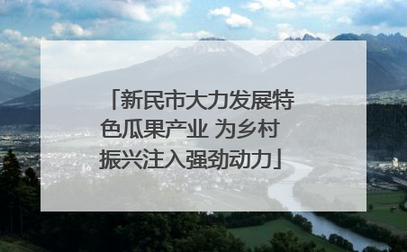新民市大力发展特色瓜果产业 为乡村振兴注入强劲动力