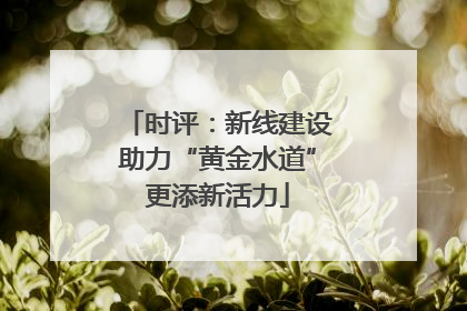时评：新线建设助力“黄金水道”更添新活力