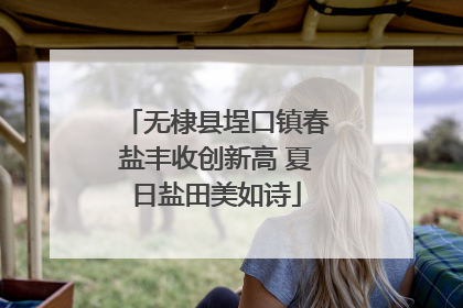 无棣县埕口镇春盐丰收创新高 夏日盐田美如诗
