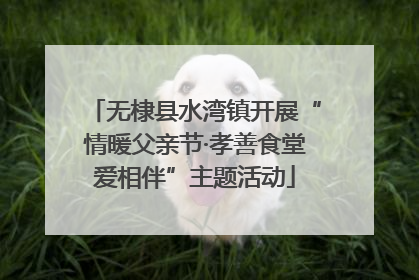 无棣县水湾镇开展“情暖父亲节·孝善食堂爱相伴”主题活动