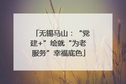 无锡马山：“党建+”绘就“为老服务”幸福底色