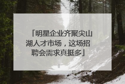 明星企业齐聚尖山湖人才市场，这场招聘会需求真挺多
