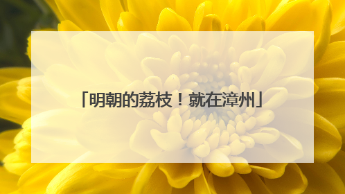 明朝的荔枝！就在漳州