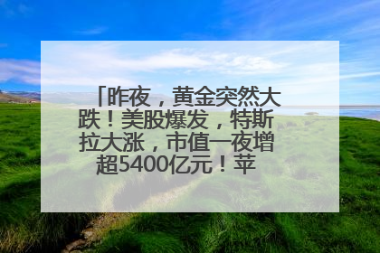 昨夜，黄金突然大跌！美股爆发，特斯拉大涨，市值一夜增超5400亿元！苹果传来大消息