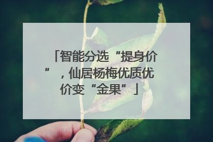智能分选“提身价”，仙居杨梅优质优价变“金果”