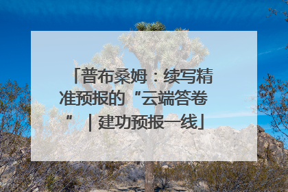 普布桑姆：续写精准预报的“云端答卷”｜建功预报一线