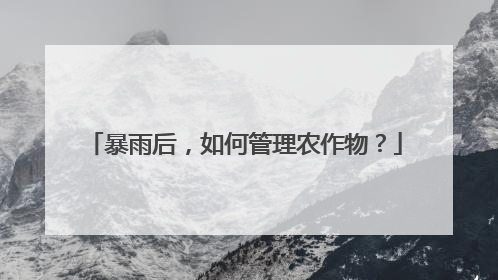 暴雨后，如何管理农作物？