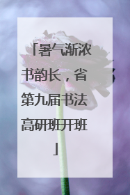 暑气渐浓书韵长，省第九届书法高研班开班
