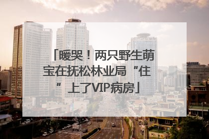 暖哭！两只野生萌宝在抚松林业局“住”上了VIP病房
