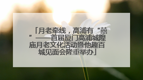月老牵线，高浦有“囍”——首届厦门高浦城隍庙月老文化活动暨他趣百城见面会隆重举办