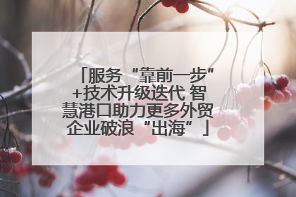 服务“靠前一步”+技术升级迭代 智慧港口助力更多外贸企业破浪“出海”