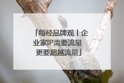 每经品牌观丨企业家IP需要流量 更要超越流量