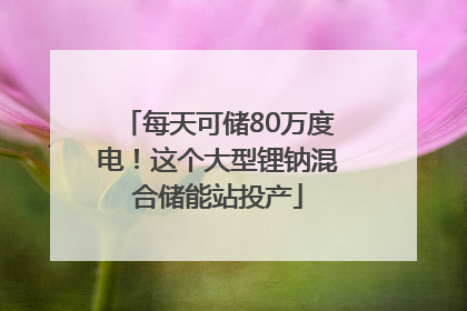 每天可储80万度电！这个大型锂钠混合储能站投产