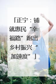 正宁：铺就惠民“幸福路”跑出乡村振兴“加速度”