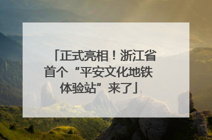 正式亮相！浙江省首个“平安文化地铁体验站”来了