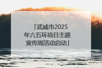 武威市2025年六五环境日主题宣传周活动启动