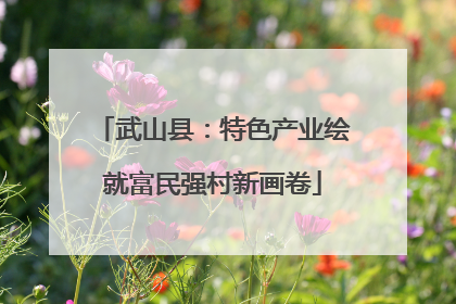 武山县：特色产业绘就富民强村新画卷