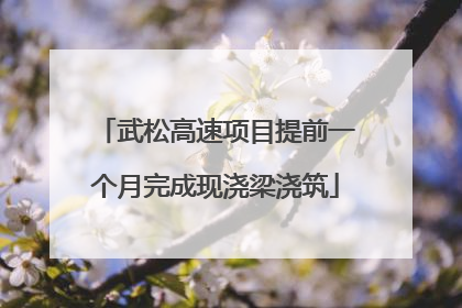 武松高速项目提前一个月完成现浇梁浇筑