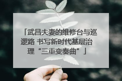 武昌夫妻的维修台与巡逻路 书写新时代基层治理“三重变奏曲”