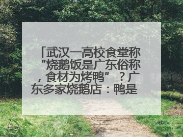 武汉一高校食堂称“烧鹅饭是广东俗称，食材为烤鸭”？广东多家烧鹅店：鸭是鸭鹅是鹅
