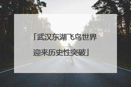 武汉东湖飞鸟世界迎来历史性突破