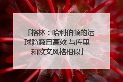 格林：哈利伯顿的运球隐蔽且高效 与库里和欧文风格相似