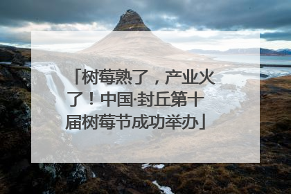 树莓熟了，产业火了！中国·封丘第十届树莓节成功举办