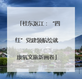 桂东沤江：“四红”党建领航绘就康氧文旅新画卷