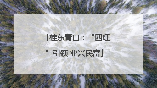 桂东青山：“四红”引领 业兴民富