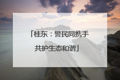 桂东：警民同携手 共护生态和谐