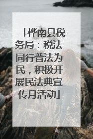 桦南县税务局：税法同行普法为民，积极开展民法典宣传月活动
