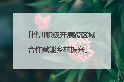 桦川积极开展跨区域合作赋能乡村振兴