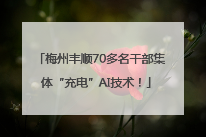 梅州丰顺70多名干部集体“充电”AI技术！