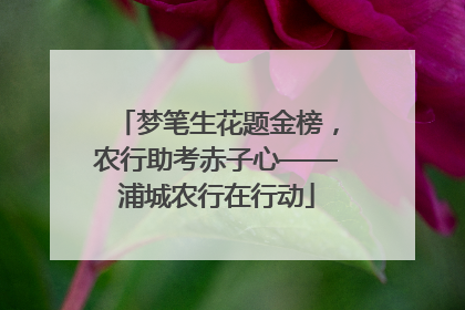 梦笔生花题金榜，农行助考赤子心——浦城农行在行动