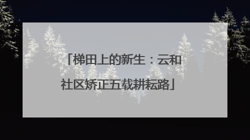 梯田上的新生：云和社区矫正五载耕耘路